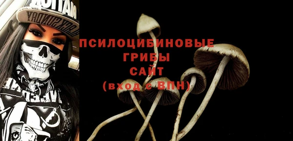 стаф Бронницы