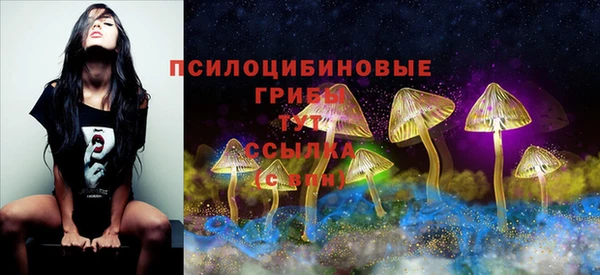 бошки Красноперекопск