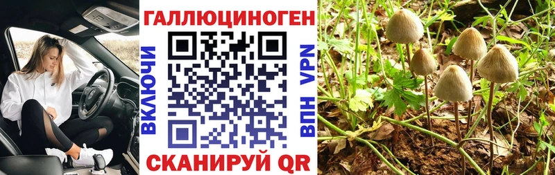 Псилоцибиновые грибы Psilocybe дарк нет формула Вышний Волочёк